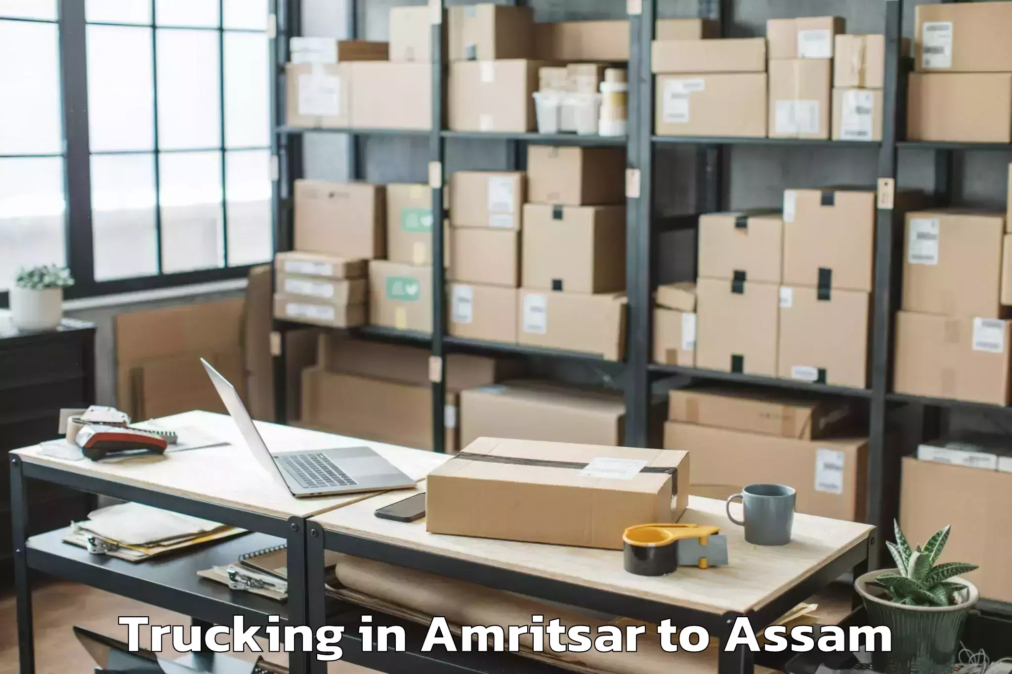 Hassle-Free Amritsar to Kharupatia Trucking